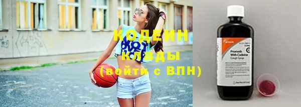 ешки Няндома