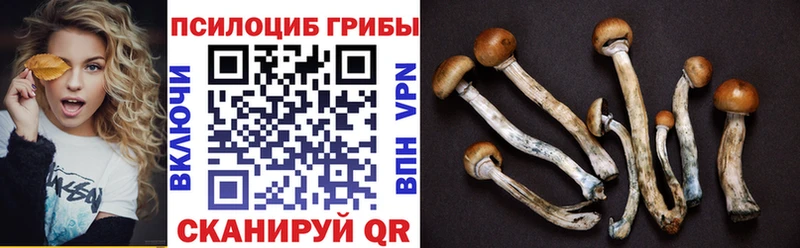 Псилоцибиновые грибы MAGIC MUSHROOMS  Алейск 